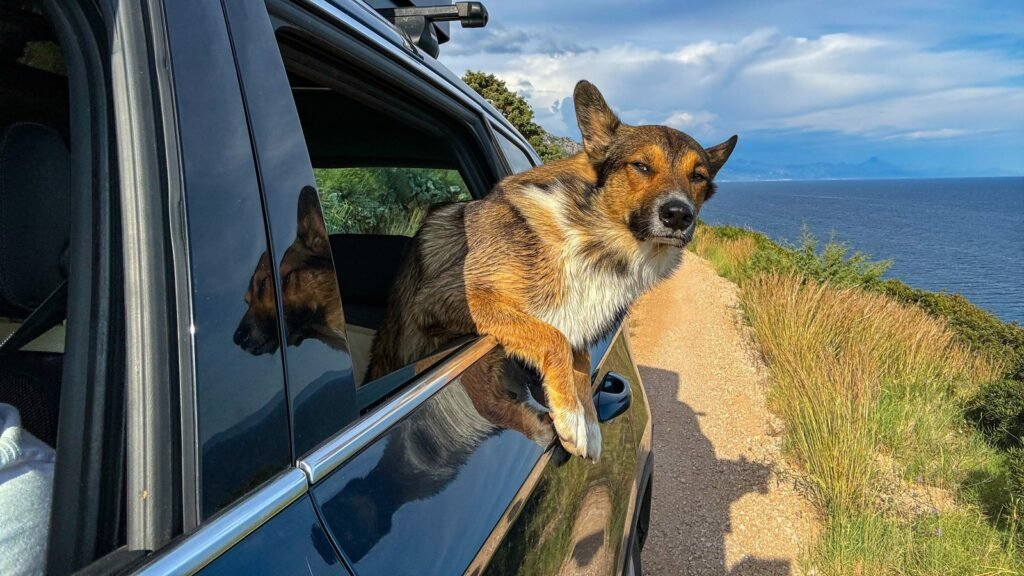 Does Driving With The Windows Down Hurt Your MPG More Than AC?