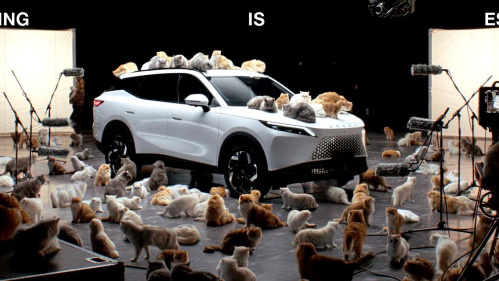 Chinese Brand Uses Dozens Of Fluffy Cats To Prove A Point