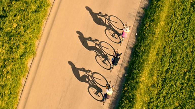 Humans Riding Bikes Are More Energy-Efficient Than Any Other Animal On The Planet