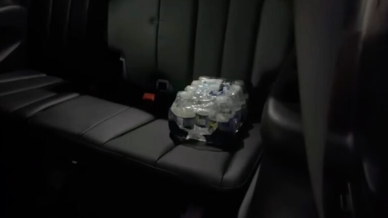 Hyundai Palisade Seat Issue May Not Be Limited to 2026 Models