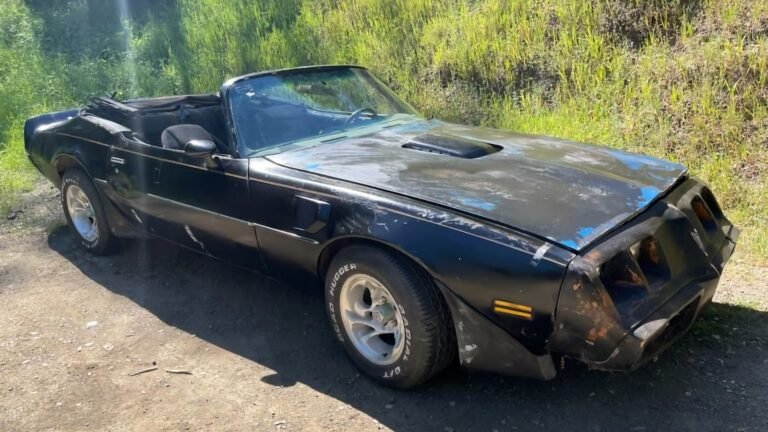 At $10,000, Would You Flip Your Lid Over This 1980 Pontiac Firebird Trans-Am Convertible?