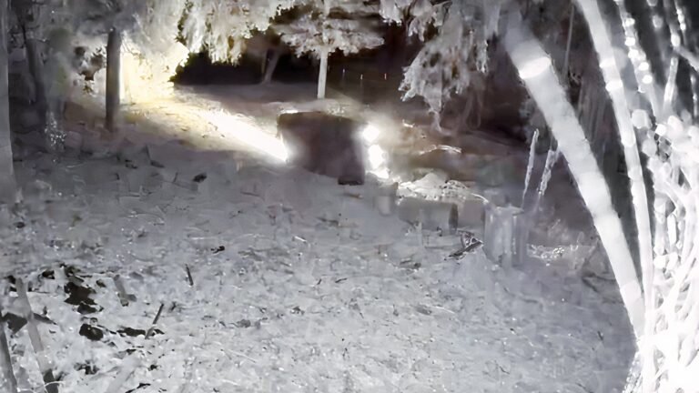 Watch This Honda Fit Crash Out, Roll Twice, And Drive Away Like It's Nothing