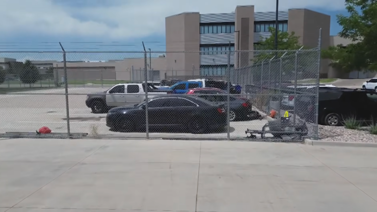 Alleged Cannonball Run Ford Caught At 130 MPH With Police Disguise