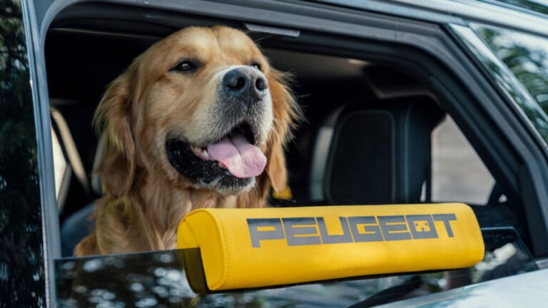New Stellantis Concept Recalls Lost Dogs And Helps Them Get Back Inside