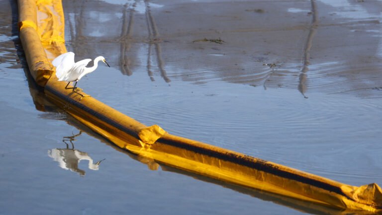 How Oil Spills In The Ocean Get Cleaned Up