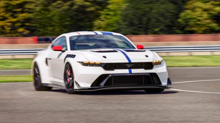 Europe Gets Another Shot at America’s Wildest Mustang