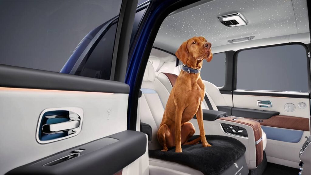 Dogs and Cats Are Changing What Americans Want From Their Cars