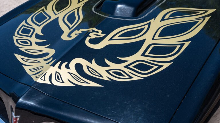 What The Bird On The Pontiac Trans Am's Hood Is Actually Called